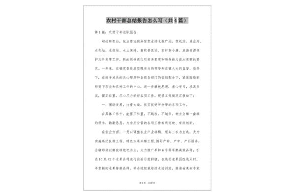 总结报告怎么写