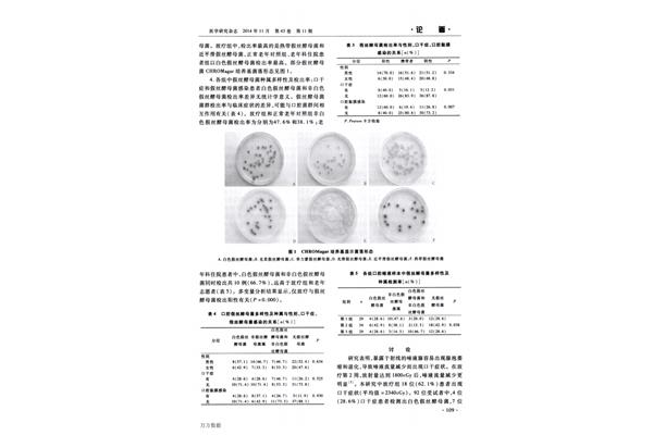 酵母菌感染
