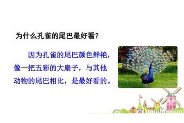 孔雀的尾巴最好看