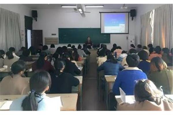 教师专业发展培训