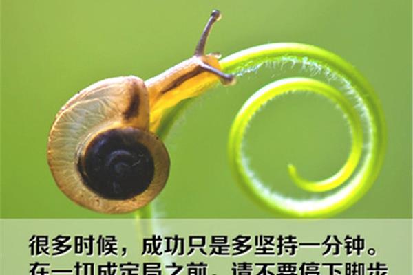 生命的宽度