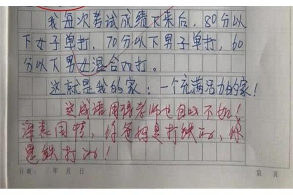 这很有意思作文