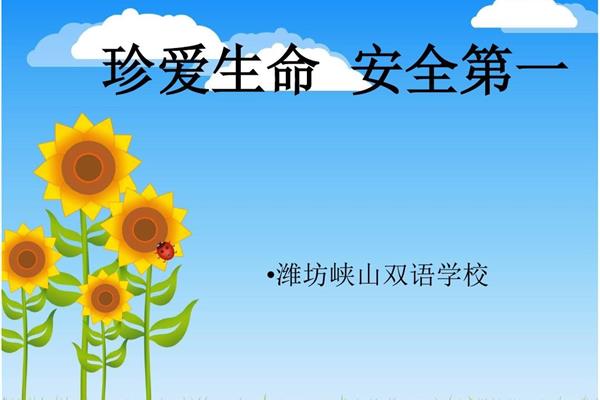 校园安全教育
