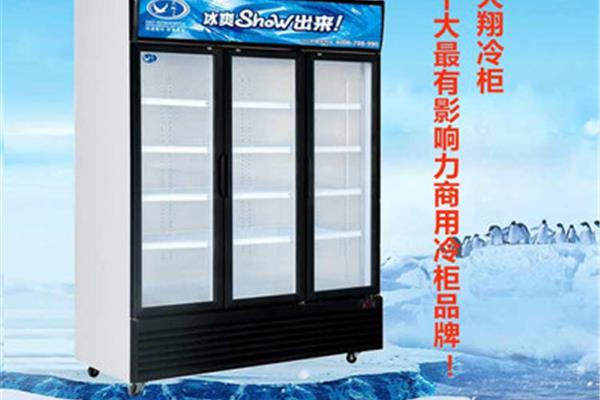 十大品牌冰柜