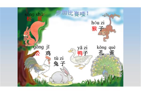 孔雀的尾巴最好看