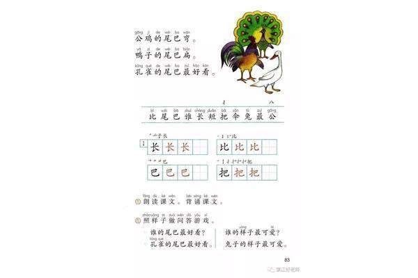 孔雀的尾巴最好看