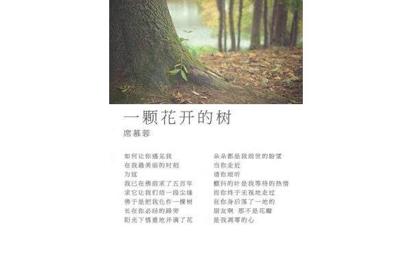 关于爱情的诗歌