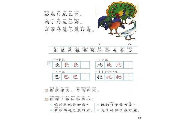 孔雀的尾巴最好看