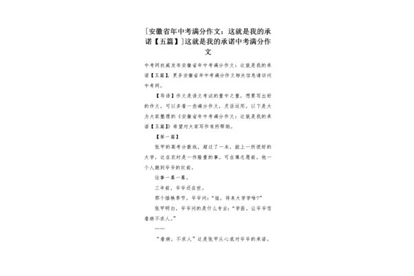这就是我的承诺