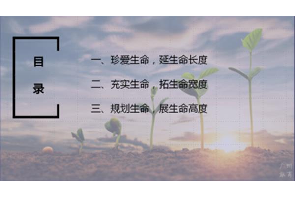 生命的宽度