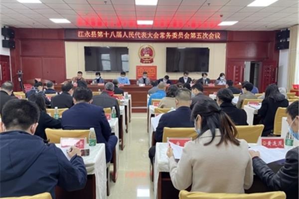 乡镇人大工作报告