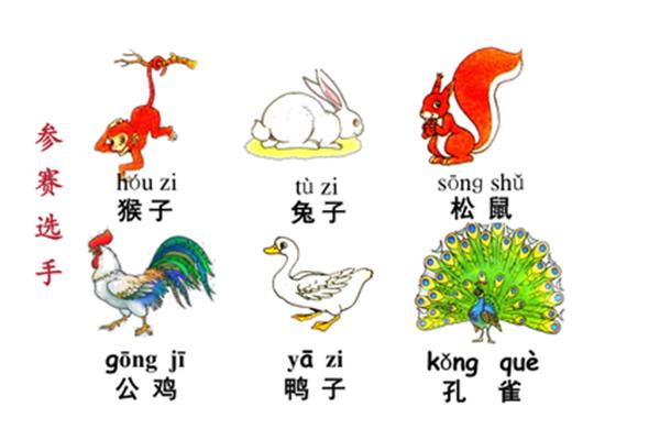 孔雀的尾巴最好看