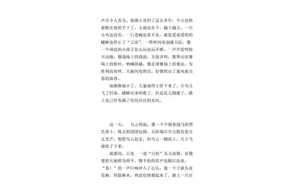 暴雨的作文