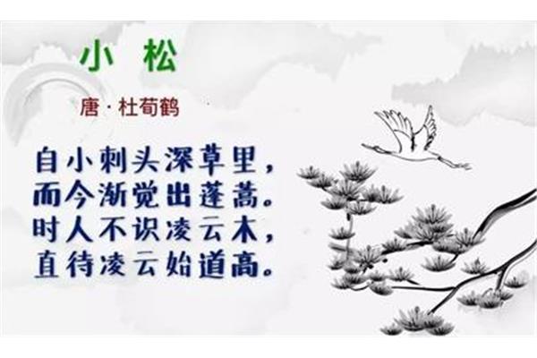 小松古诗杜荀鹤