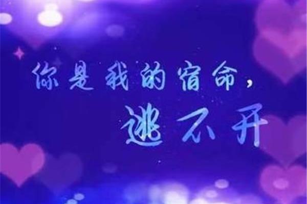 打动人心的情话