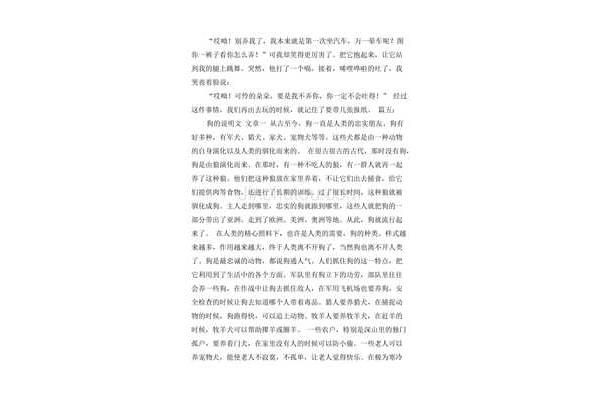 动物说明文