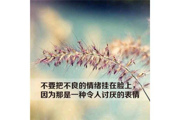 微信朋友圈说说