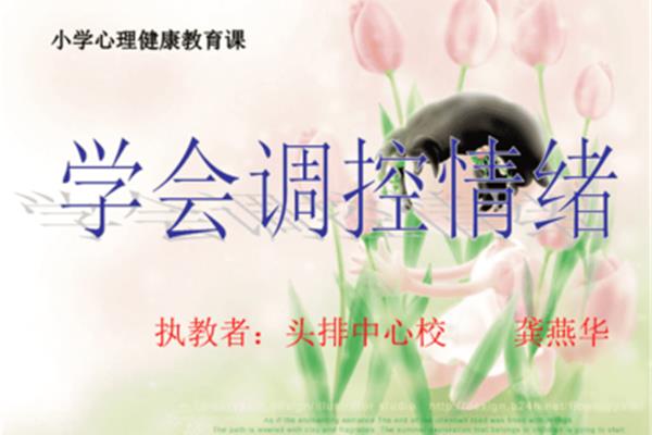 心理健康课