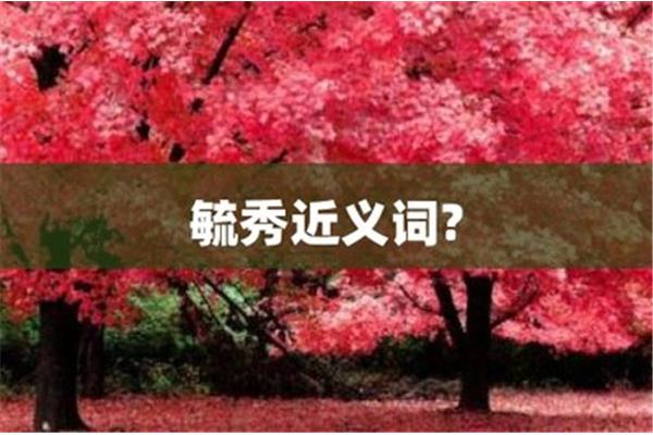 钟灵毓秀的近义词