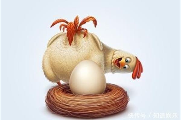 公鸡会下蛋吗