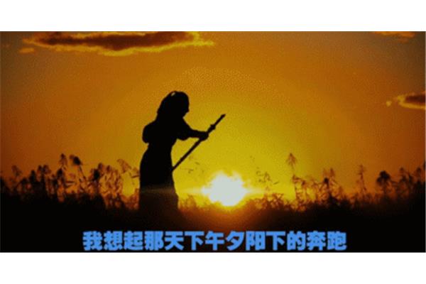 夕阳下的奔跑