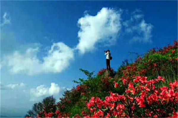 芳菲四月天