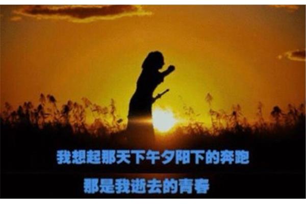 夕阳下的奔跑
