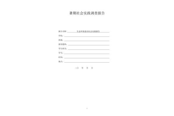 社会调研报告