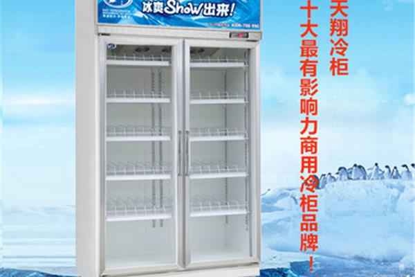 十大品牌冰柜