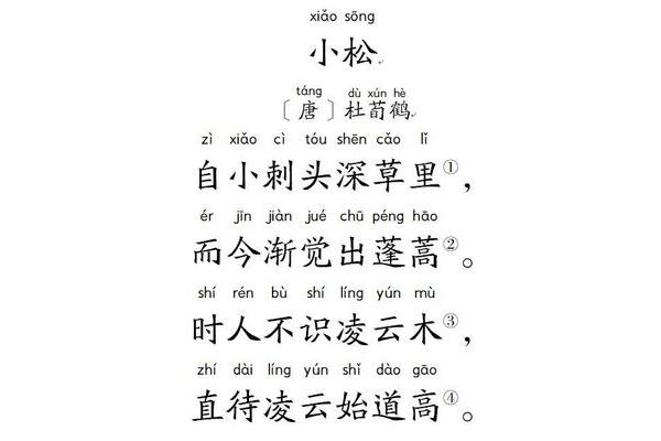小松古诗杜荀鹤