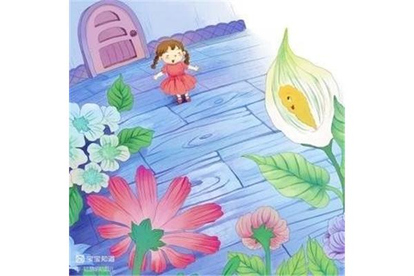 小意达的花儿故事