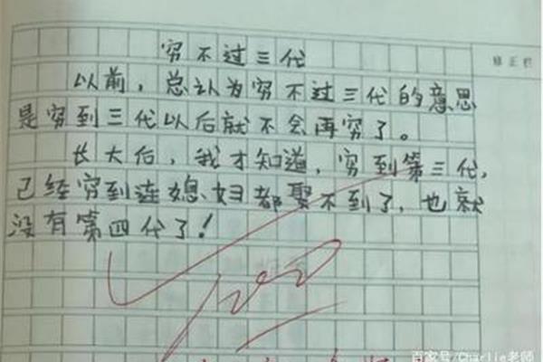 这很有意思作文