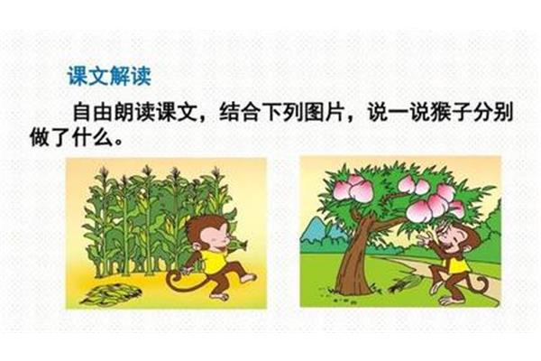小猴子第二次下山