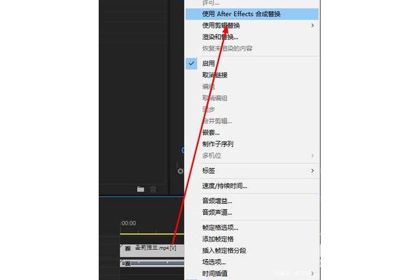 pr和ae
