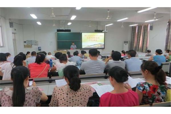教师专业发展培训