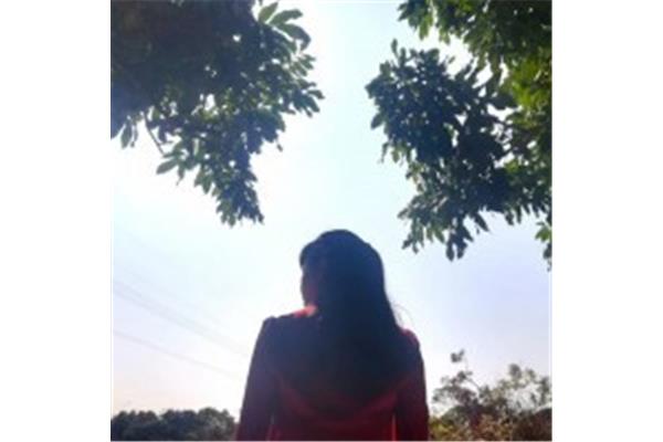 无情不似多情苦