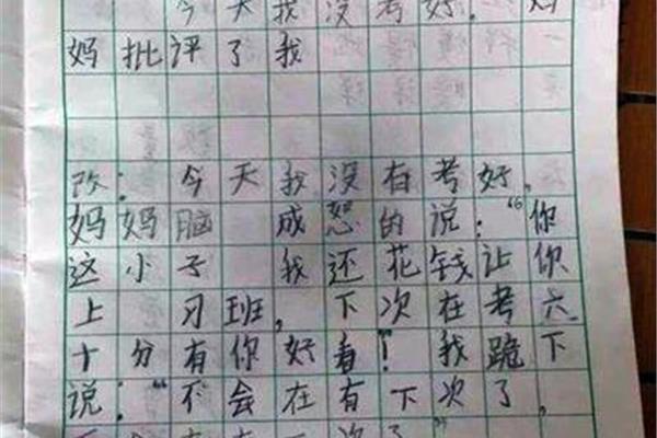 这很有意思作文
