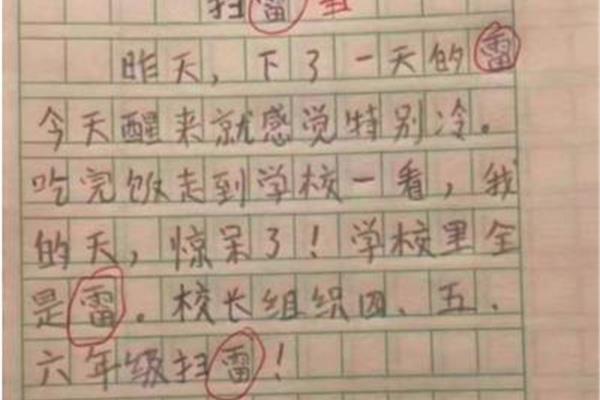 这很有意思作文