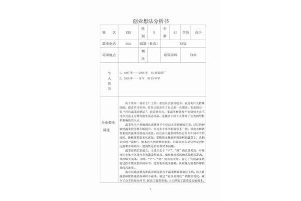 创业想法分析书