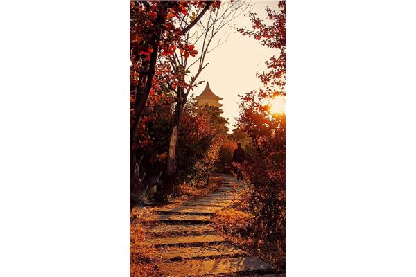 寒山石径斜