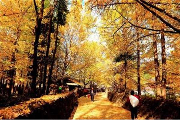 云南腾冲旅游攻略