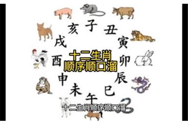 12生肖顺口溜