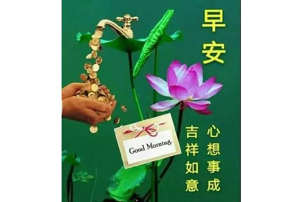 早上的问候