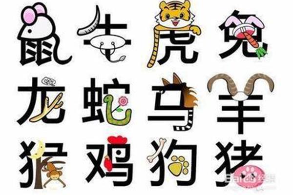 12生肖顺口溜