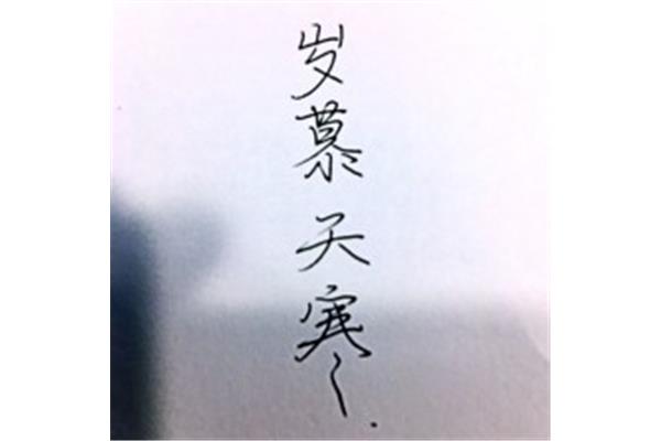 岁暮天寒的意思