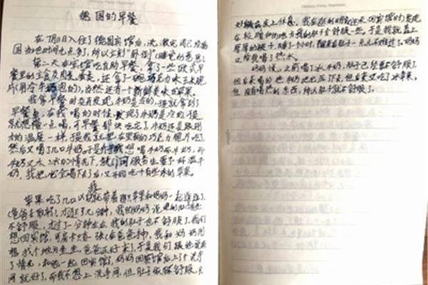 什么的魅力作文