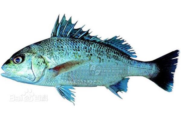 北滘怎么读
