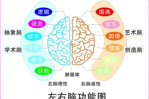 如何快速记忆