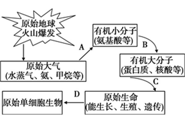 生命起源的过程
