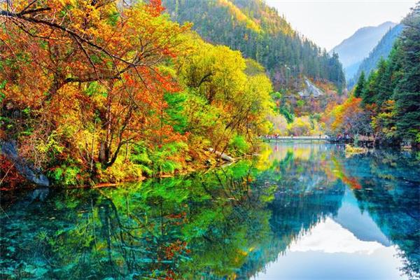 你是最美的风景